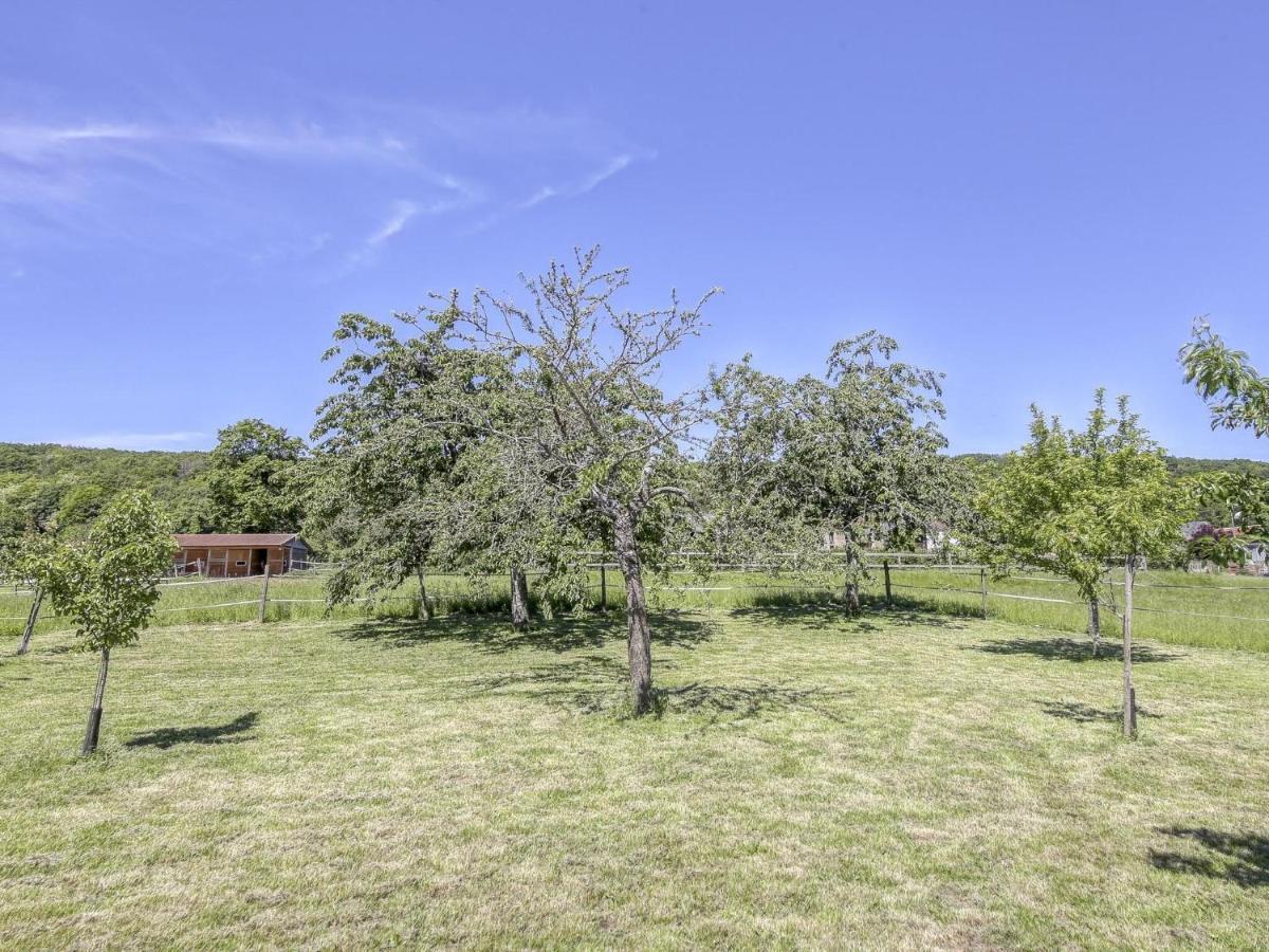 Burgundian Farmhouse In Talon With Fireplace المظهر الخارجي الصورة